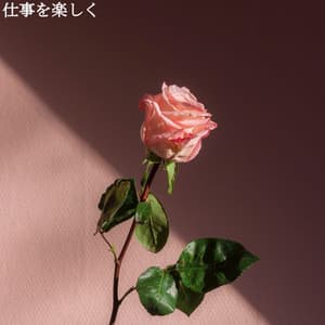 仕事を楽しく - Jazz For Sleeping