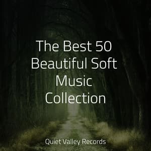 The Best 50 Beautiful Soft Music Collection - The Sleep Principle