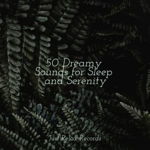50 Dreamy Sounds for Sleep and Serenity - kinderliedjes