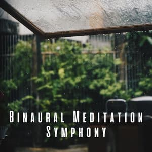 Binaural Meditation Symphony: Tranquil Rain and Theta Waves - Nature and Rain
