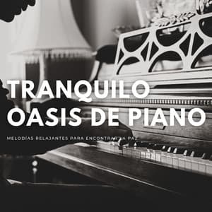 Tranquilo Oasis De Piano: Melodías Relajantes Para Encontrar La Paz - Cubiertas antipolvo para piano