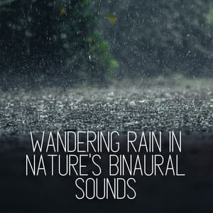 Wandering Rain in Nature's Binaural Sounds - Binaural Beats MT