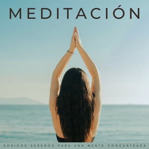 Meditación: Sonidos Serenos Para Una Mente Concentrada - Los muchachos de enfoque y meditación