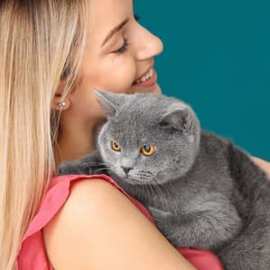 Pet Serenity: Harmonious Meditation Melodies - Meditation Playlist