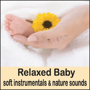 Relaxed Baby: Soft Instrumentals & Nature Sounds - Baby Music Artists