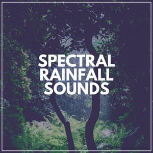 Spectral Rainfall Sounds - Rainfall