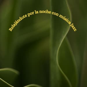 Relajándote por la noche con música Jazz - Musica de Jazz para Hoteles