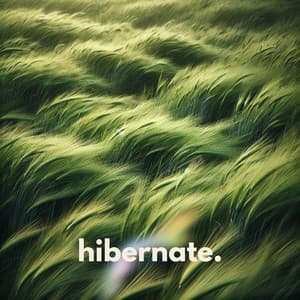 Hibernate - Positive Music Universe