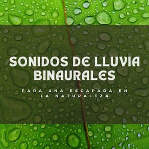 Sonidos De Lluvia Binaurales Para Una Escapada En La Naturaleza - Lloviendo Relajante