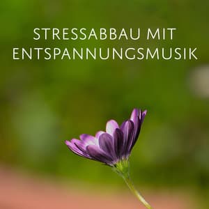Stressabbau mit Entspannungsmusik - Tiefenentspannung Academy