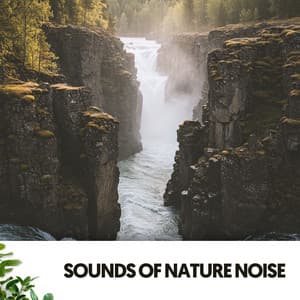 Sounds of Nature Noise: Serene Slumber Symphony - The Nature Soundscapes