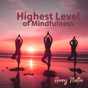 Highest Level of Mindfulness - Henry Northe