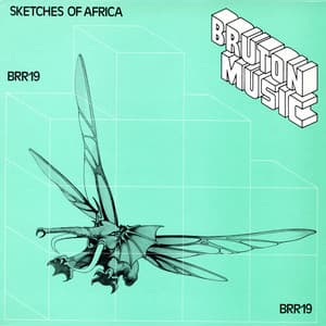 Bruton BRR19: Sketches of Africa - John Cameron