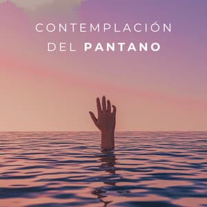 Contemplación Del Pantano - Sonidos orgánicos de la naturaleza