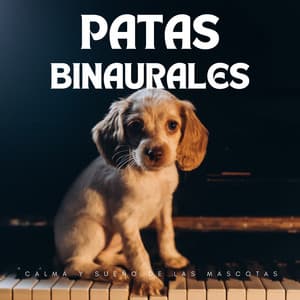 Patas Binaurales: Calma Y Sueño De Las Mascotas - Reiki para animales