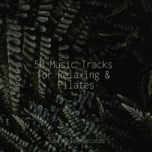 50 Music Tracks for Relaxing & Pilates - ASMR HD