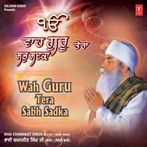 Wah Guru Tera Sabh Sadka - Bhai Chamanjit Singh Ji