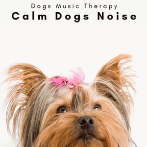 2 0 2 3 Calm Dogs Noise - Dogs Music Therapy