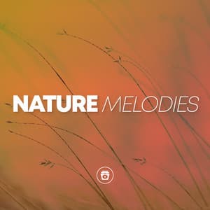 Nature Melodies - Rain Sounds Sleep
