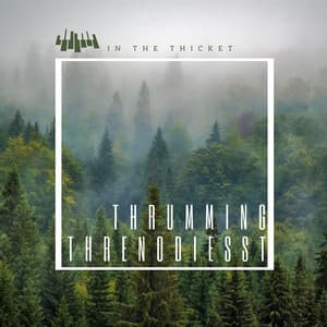 In the Thicket: Thrumming Threnodies - Piano Music Spa