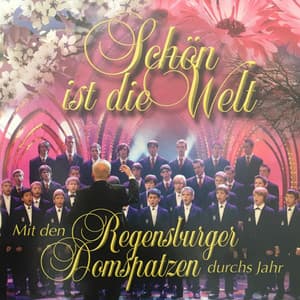 Schön ist die Welt - Mit den Regensburger Domspatzen durchs Jahr - Regensburger Domspatzen
