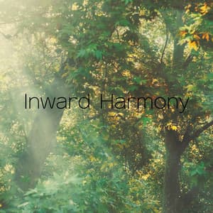 Inward Harmony - Calming Chords