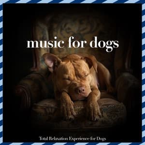 Music For Dogs: Total Relaxation Experience for Dogs - Relaxmydog