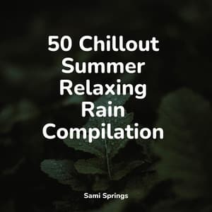 50 Chillout Summer Relaxing Rain Compilation - Entspannungsmusik Oase