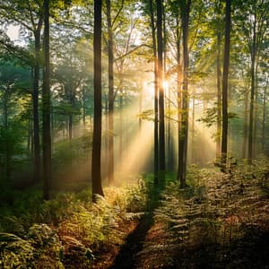 Music For Complete Relaxation And Stress Relief - Relaxed Instrumental