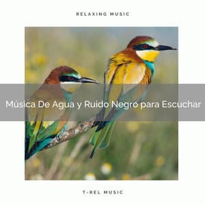 Música De Agua y Ruido Negro para Escuchar - Ruido Para Bebé