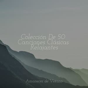 Colección De 50 Canciones Clásicas Relajantes - Meditation Spa