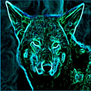 Trance and Emersion - Reading and Study Music