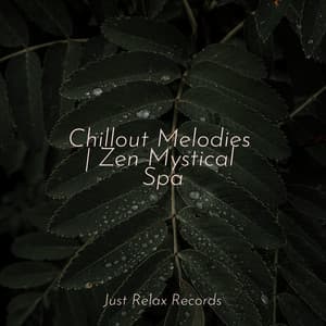 Chillout Melodies | Zen Mystical Spa - Meditation Relaxation Club