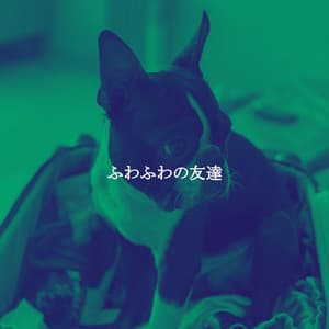 ふわふわの友達 - Soft Dinner Music