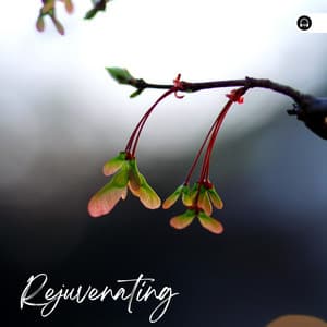Rejuvenating - Zen Music Garden