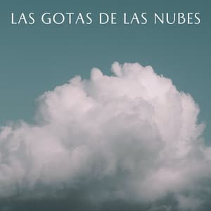 Las Gotas De Las Nubes - Palacio de la lluvia