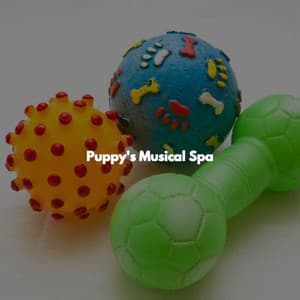 Puppy's Musical Spa - New Orleans Jazz Band