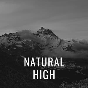 Natural High - Beach Top Sounders