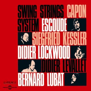 Swing Strings System - Didier Levallet