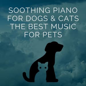 Soothing Piano For Dogs & Cats The Best Music For Pets - Relaxing Piano For Pets