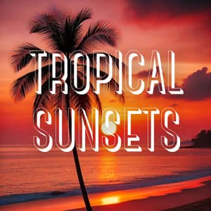 Tropical Sunsets: An Immersive Experience in Electronic House Vibes - DJ Ceverino