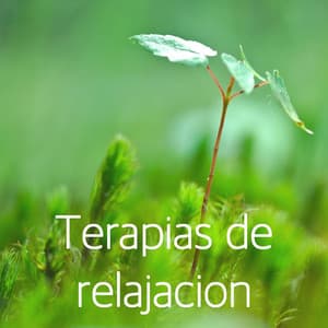 Terapias de relajacion - La terapia de música con sonidos de la naturaleza para un mejor estado de ánimo, el pensamiento positivo, la meditación y la relajación - Terapia mejor estado de ánimo
