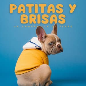 Patitas Y Brisas: Un Campanilla De Perro - Muestreo estéreo al aire libre