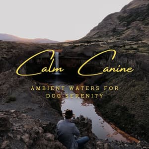 Aquatic Canine Calm: Ambient Waters for Dog Serenity - Memory of Water