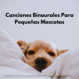 Pequeños Ritmos De Canciones Binaurales Para Pequeñas Mascotas - Colectivo Binaural