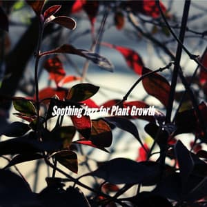 Soothing Jazz for Plant Growth - Coffee House Jazz Playlist