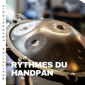 Rythmes du handpan et beauté de la nature - Méditation Sophrologie