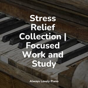 The Ultimate Concentration and Total Relaxation - Relaxing Classical Piano Music