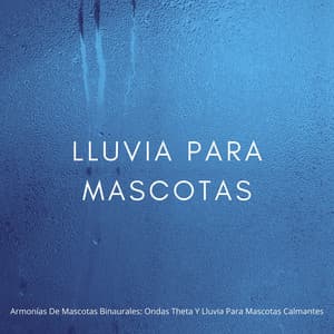 Armonías De Mascotas Binaurales: Ondas Theta Y Lluvia Para Mascotas Calmantes - Sonidos de lluvia tranquila