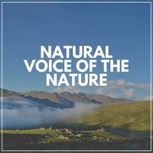 Natural Voice of the Nature - Binaural Landscapes